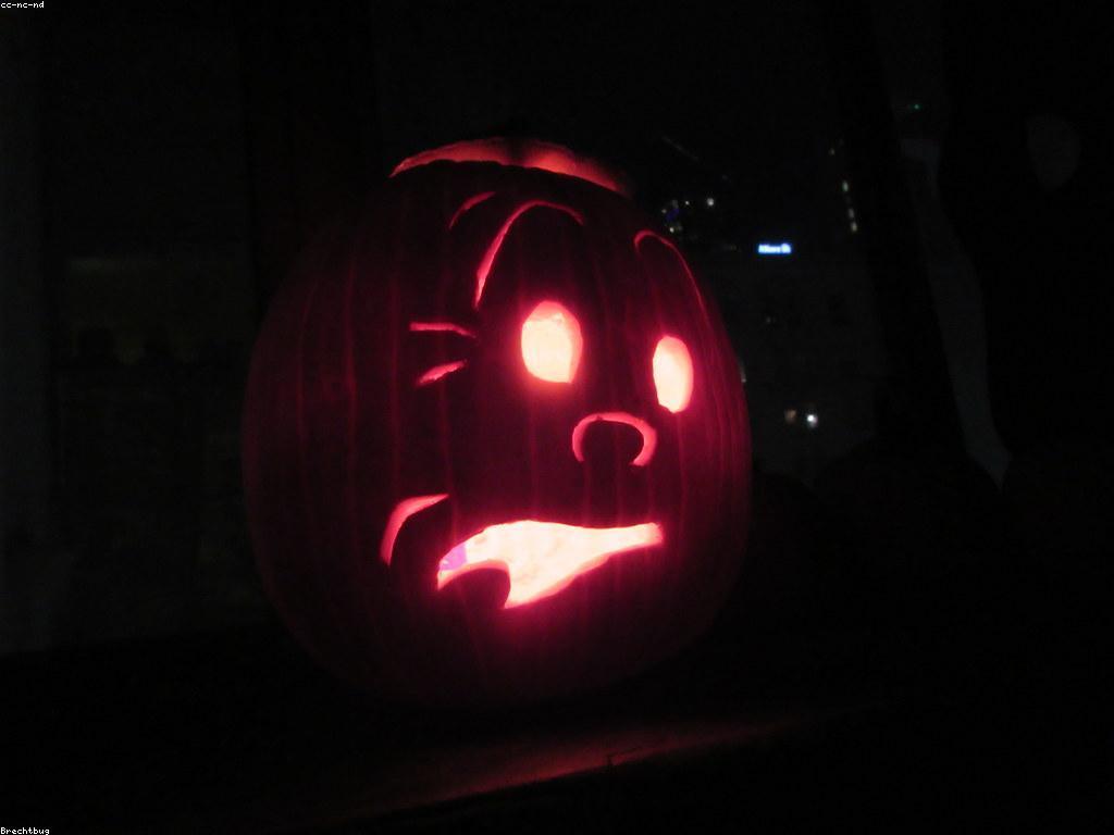 ព័ត៌មានឆ្នោតថ្មី៖ ការវិនិយោគដែលមានគុណភាពសម្រាប់អ្នកលេងឆ្នោត